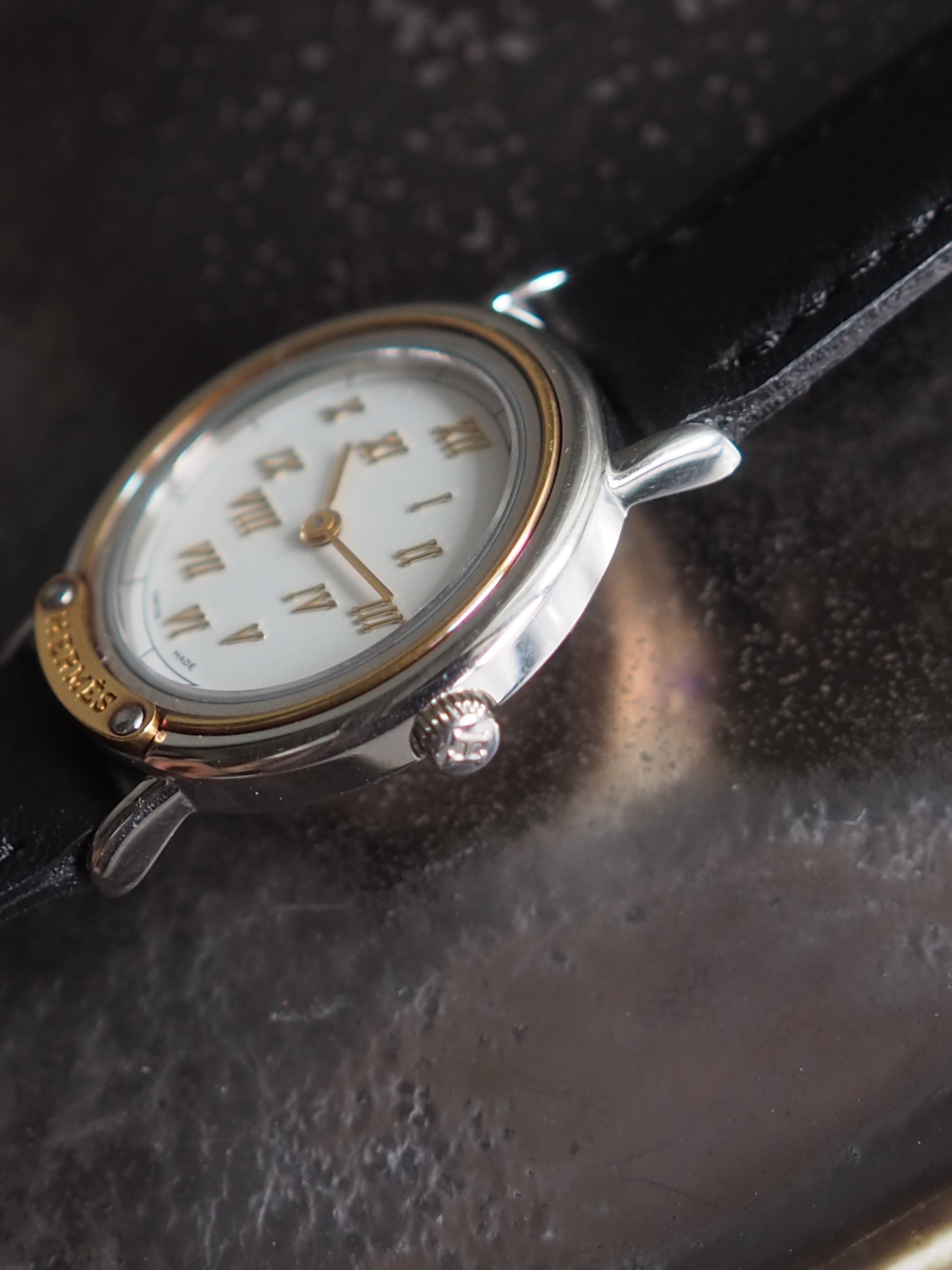 HERMES Meteor Watch