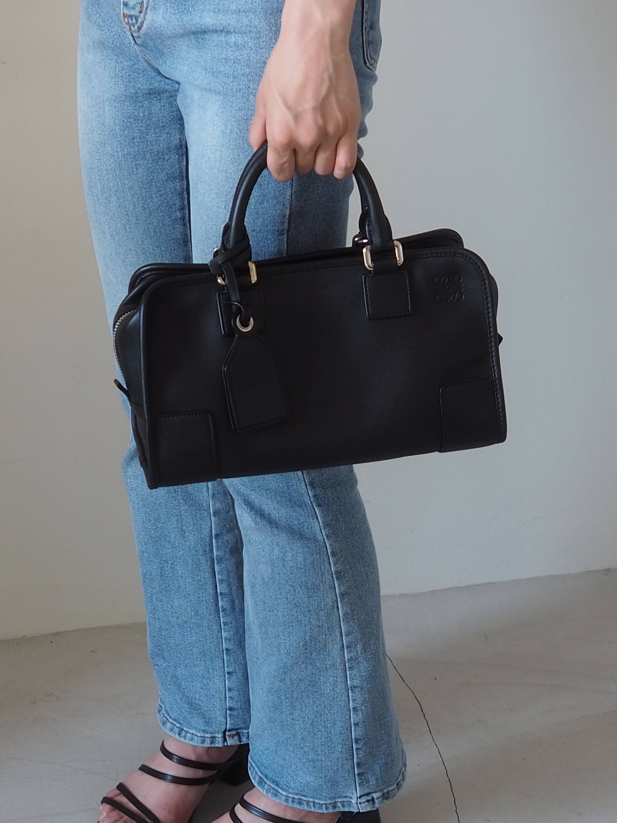 LOEWE Amazona 28 2way Hand Bag