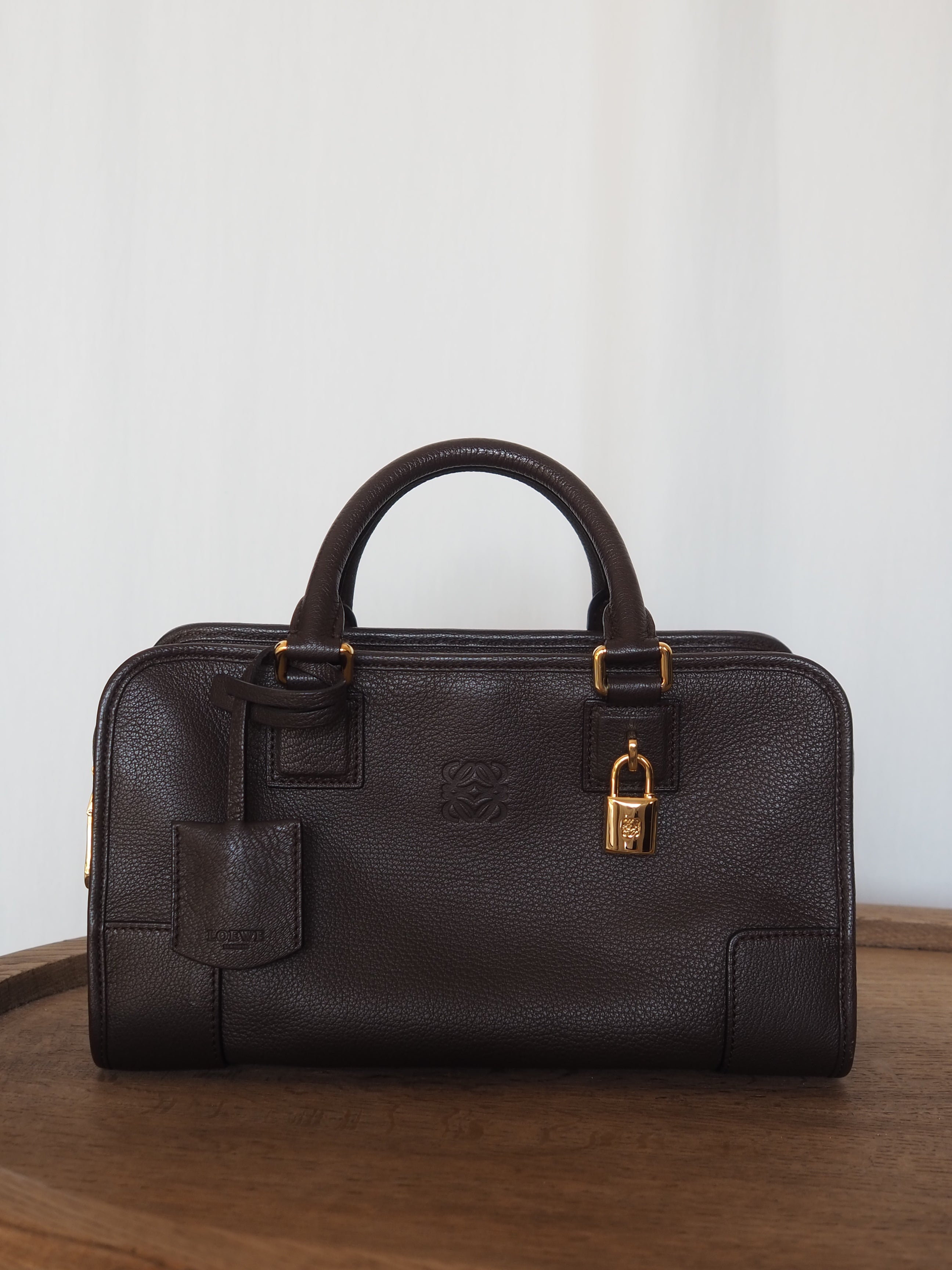 LOEWE Amazona 28 Hand Bag