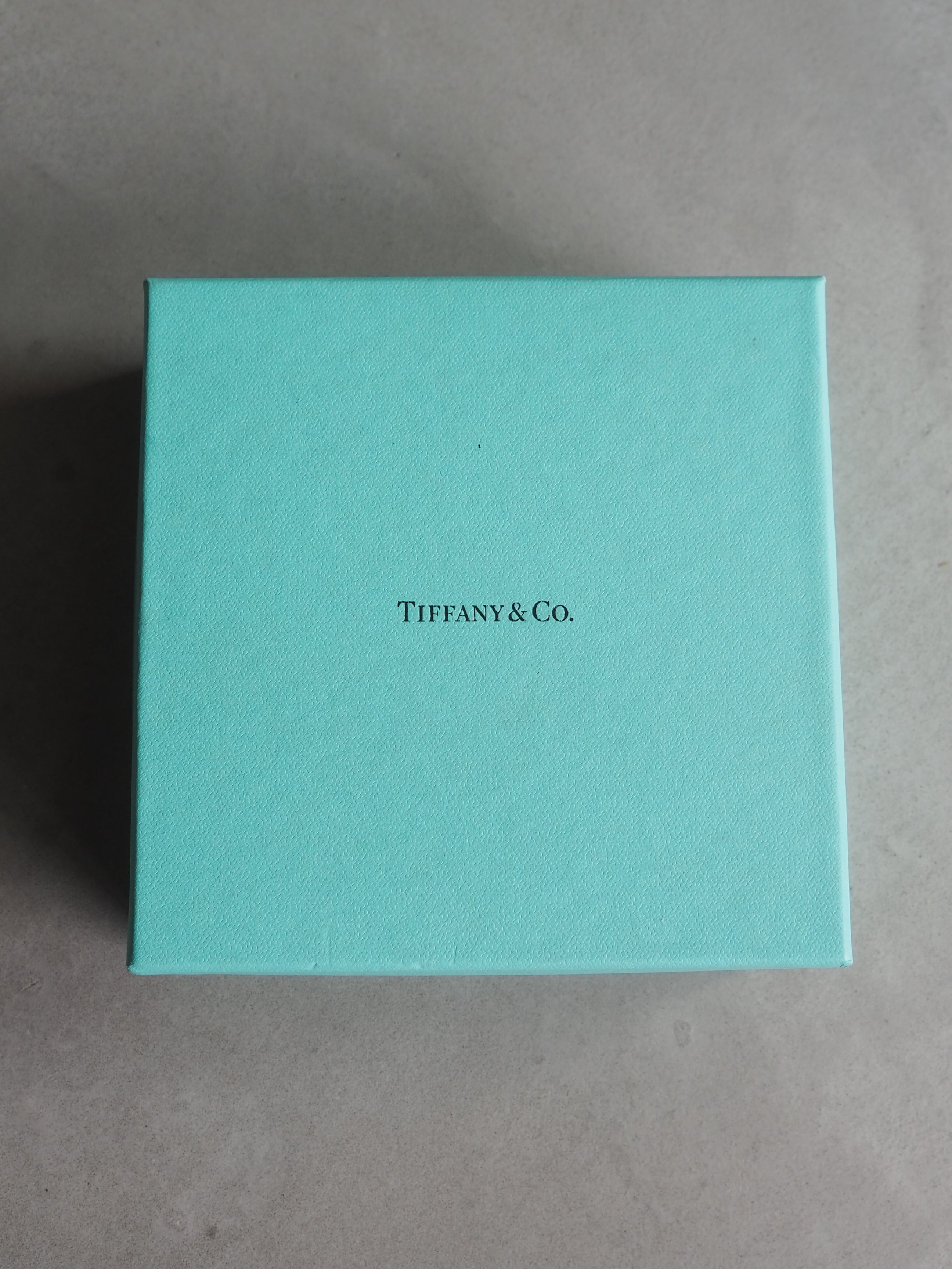 Tiffany & Co. Mesh Link Necklace