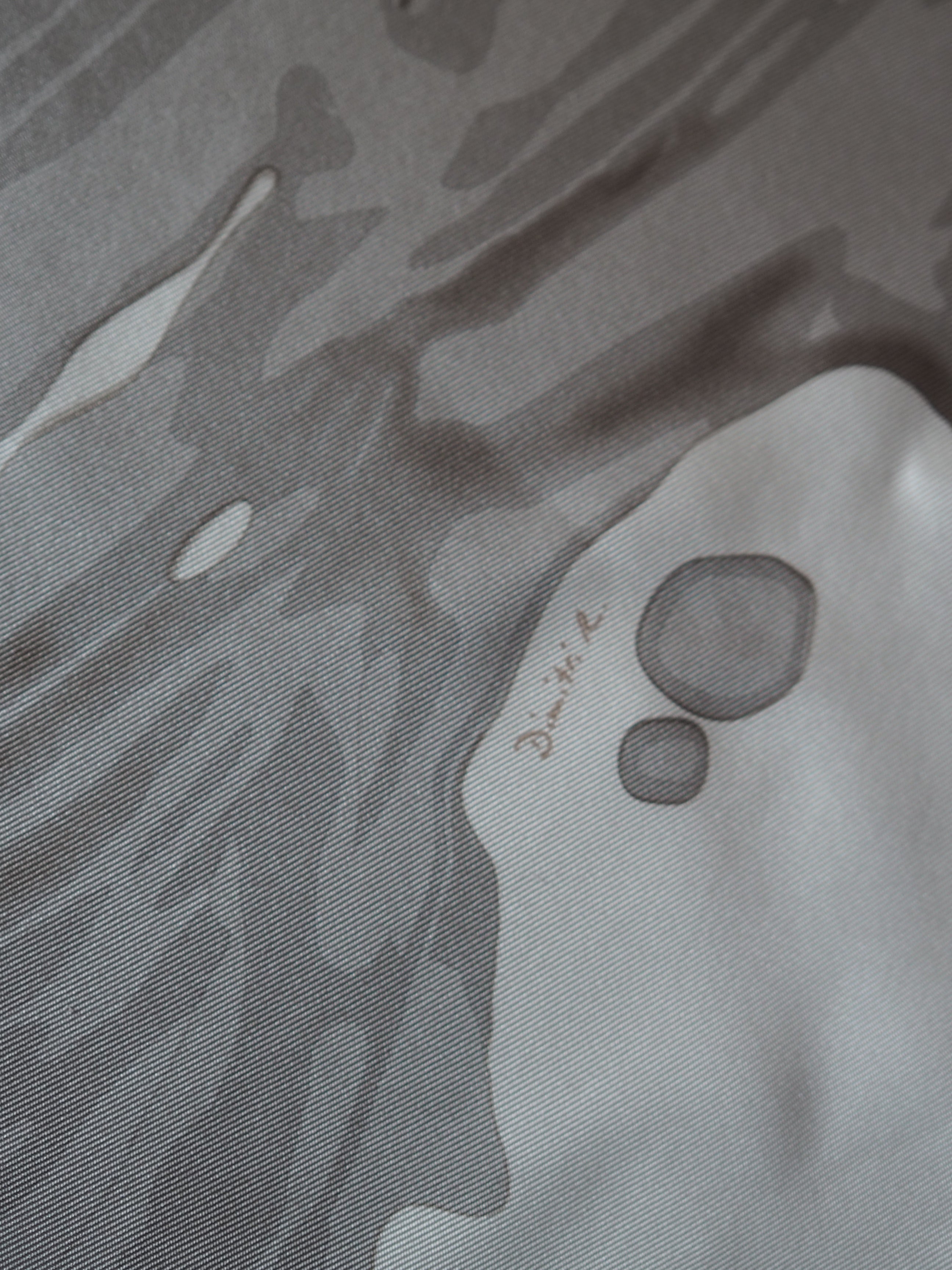 HERMES Scarf Care 90 " Peinture Fraiche "