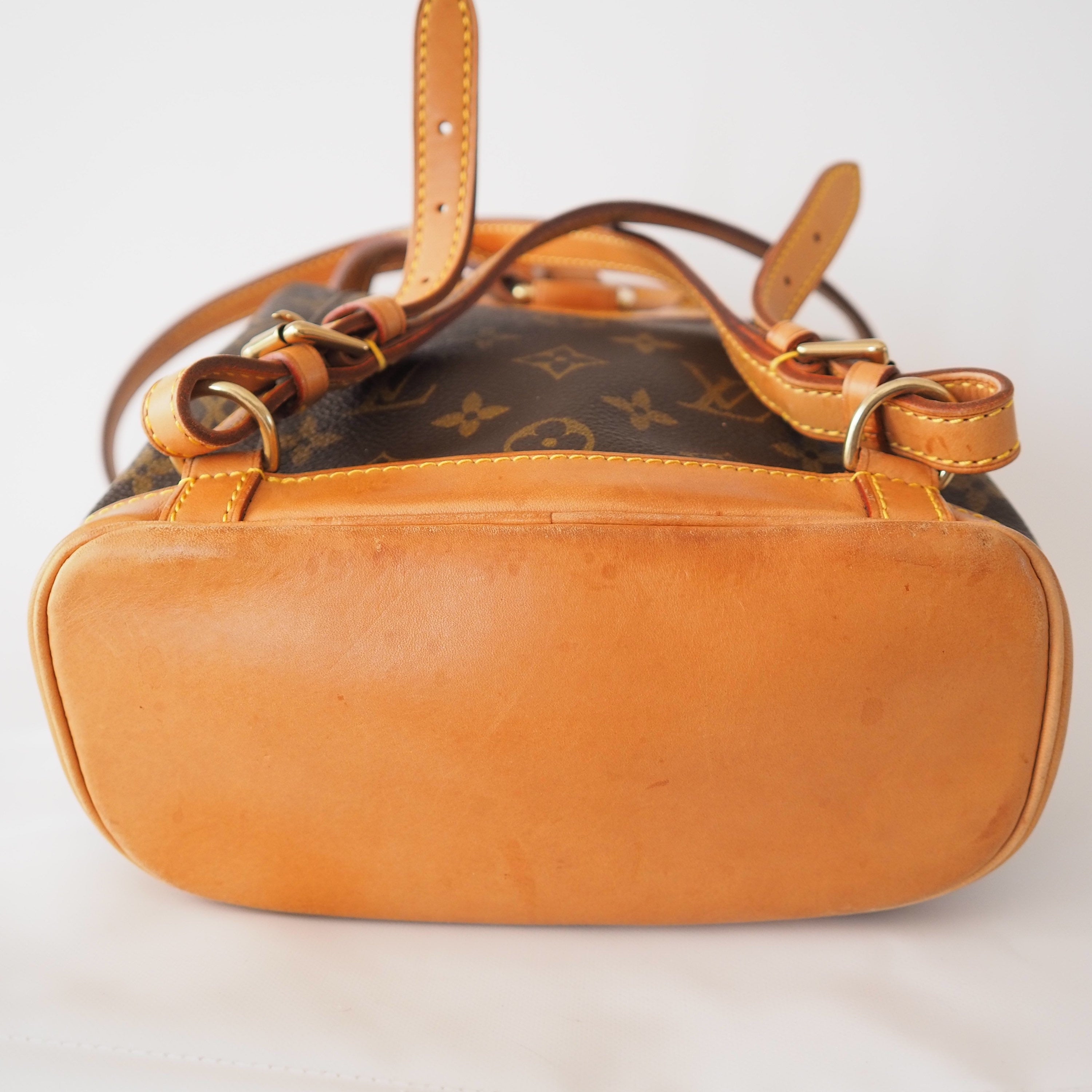 LOUIS VUITTON Monogram Mini Montsouris PM Unisex Backpack Authentic