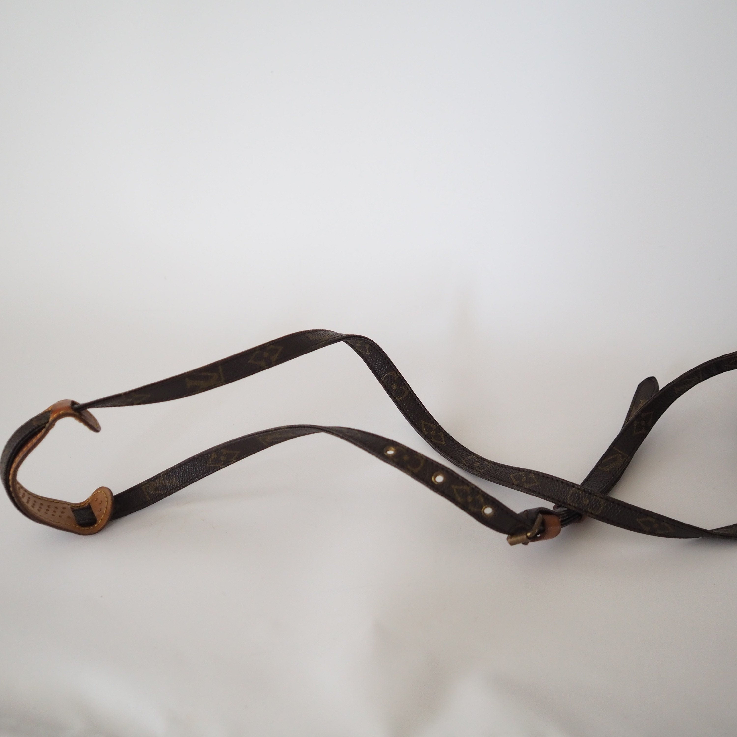 LOUIS VUITTON Monogram Mini Amazon Shoulder Bag Purse Authentic