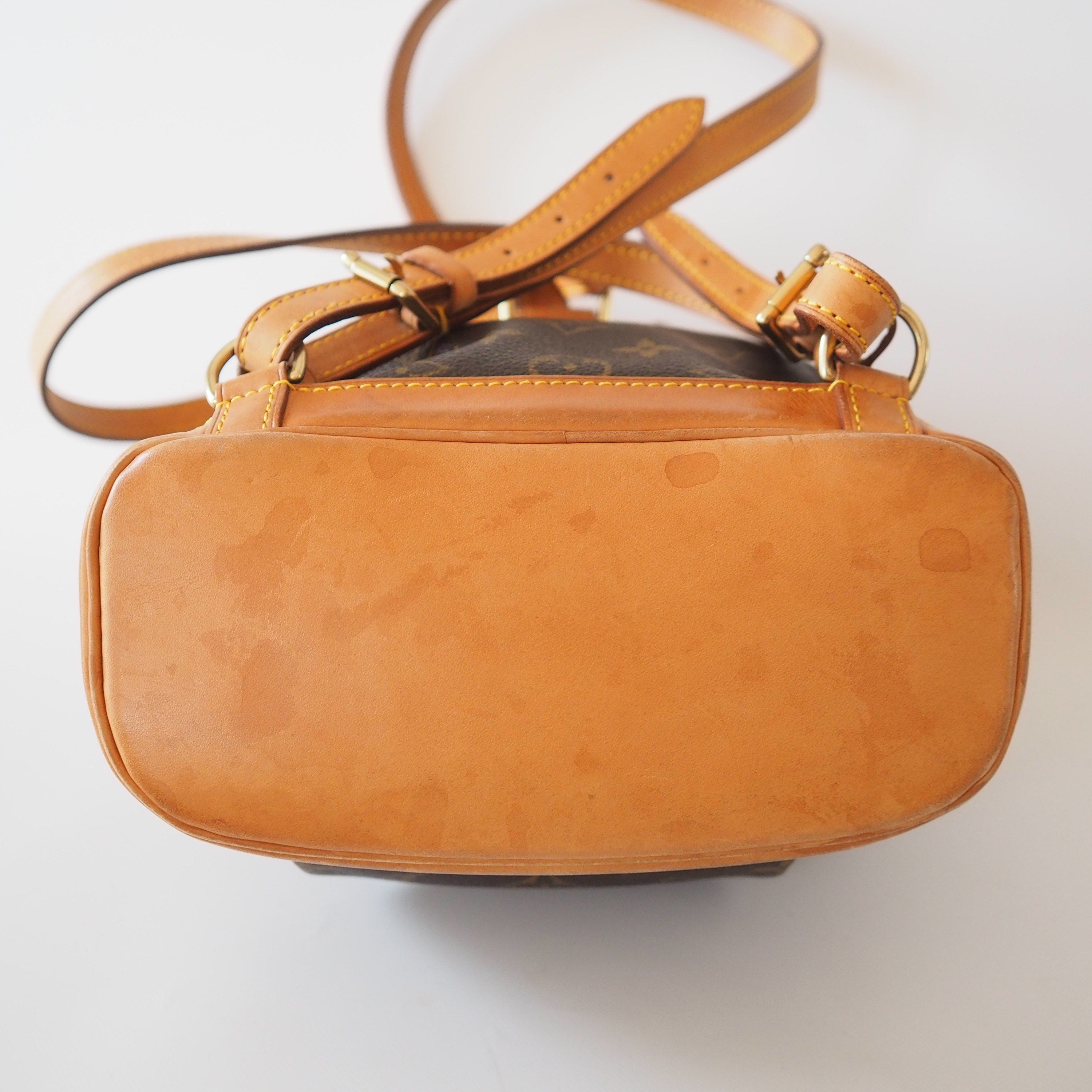 LOUIS VUITTON Monogram Mini Montsouris PM Unisex Backpack Authentic