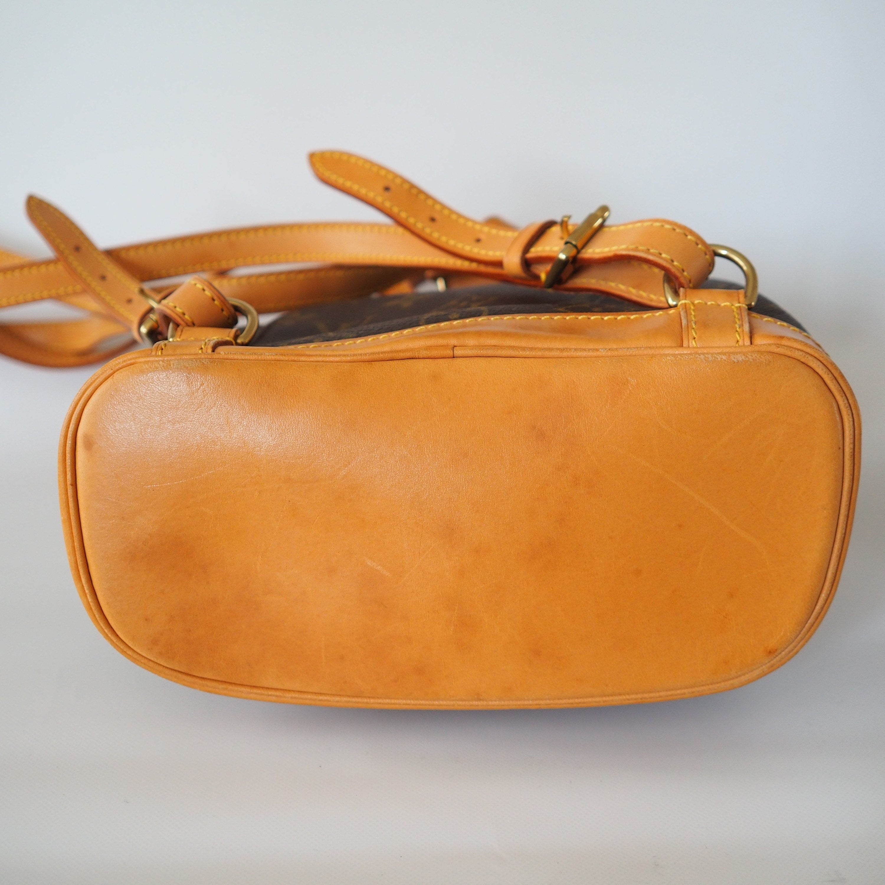 LOUIS VUITTON Monogram Mini Montsouris PM Unisex Backpack Authentic