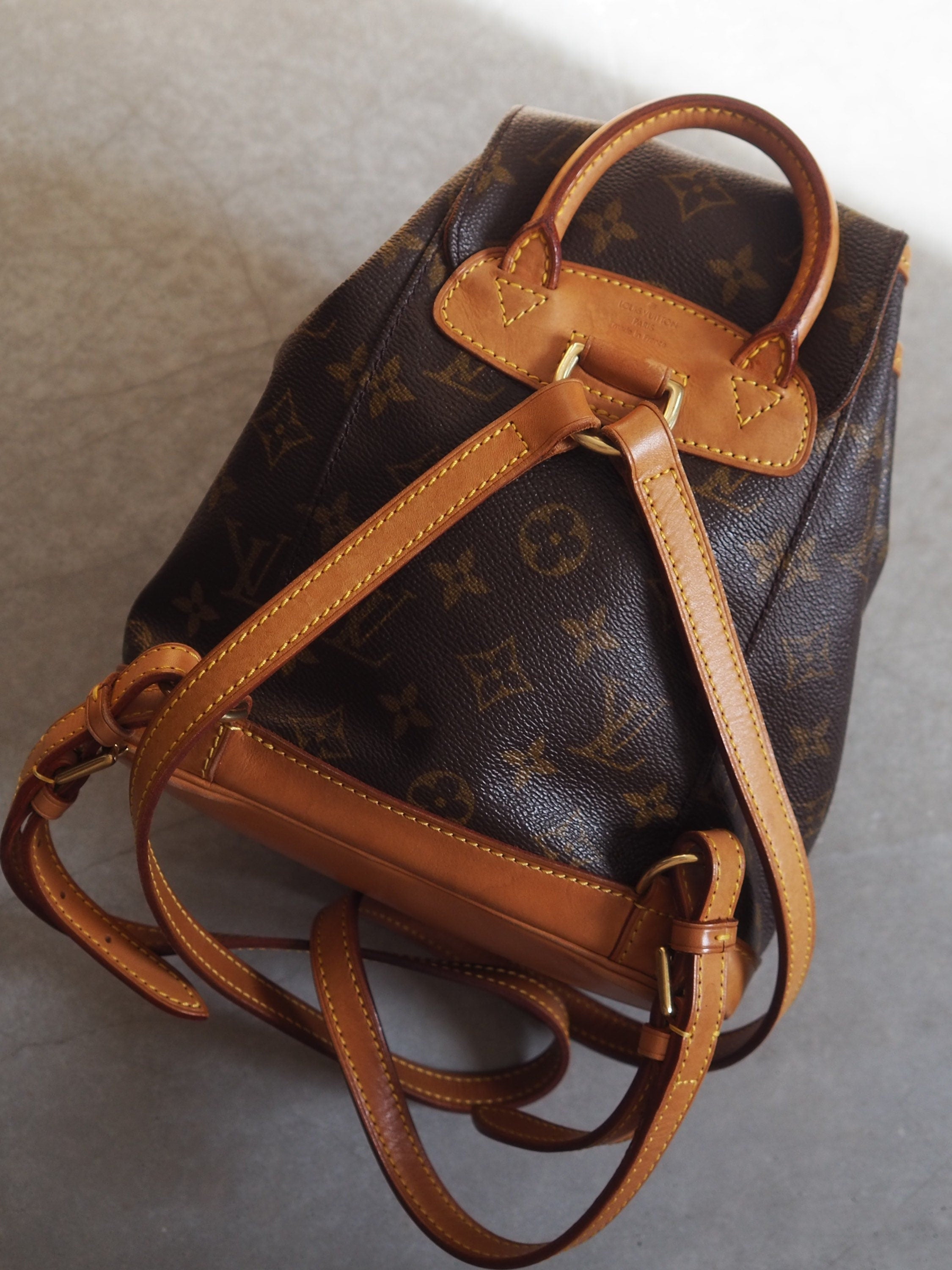 LOUIS VUITTON Monogram Mini Montsouris PM Backpack Authentic