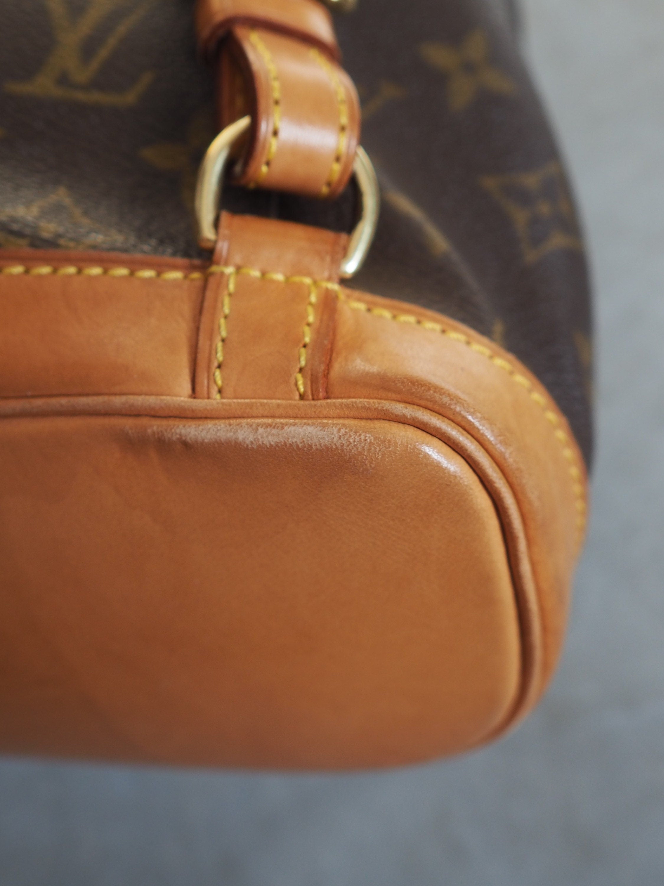 LOUIS VUITTON Monogram Mini Montsouris PM Backpack Authentic