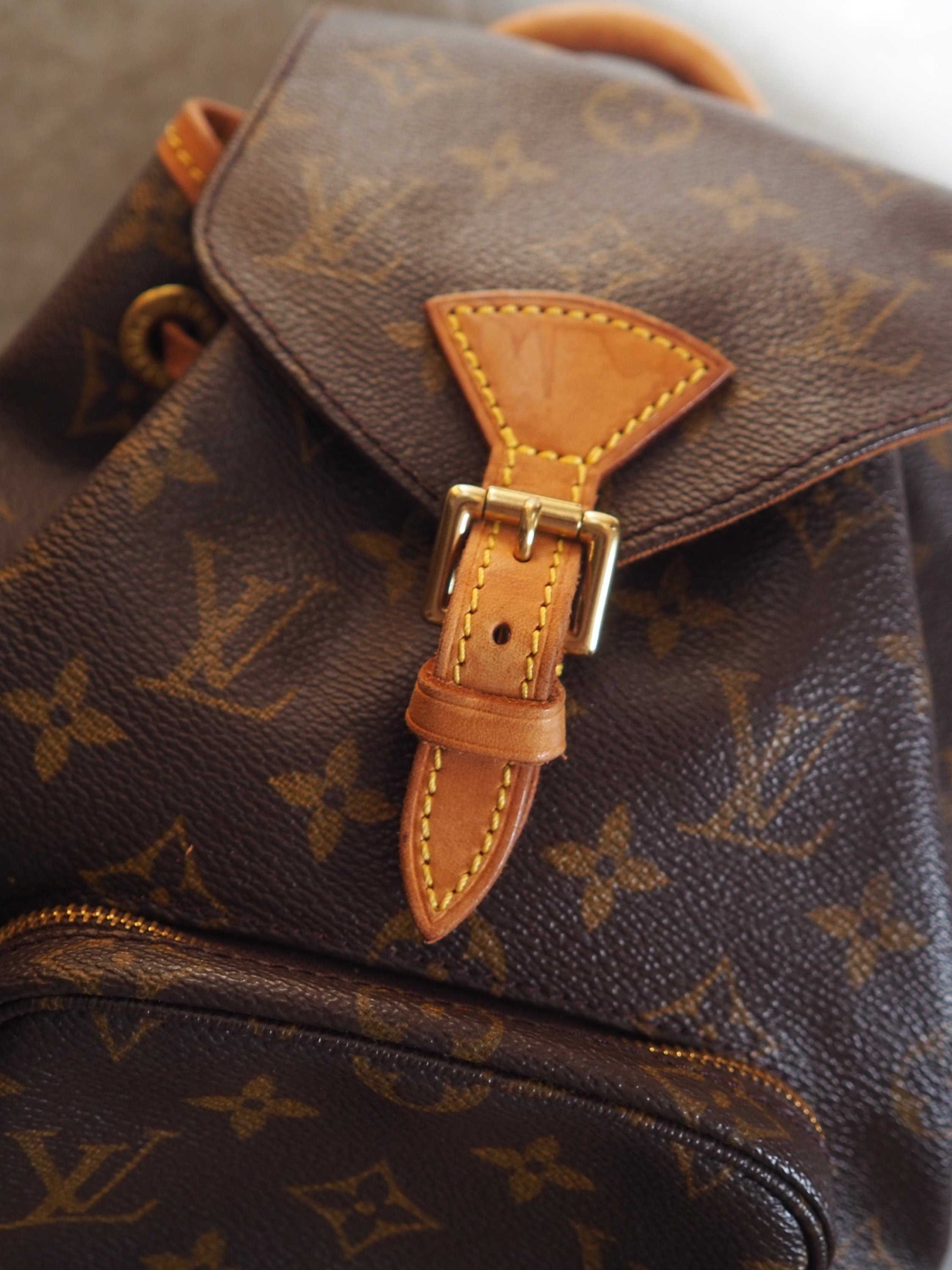 LOUIS VUITTON Monogram Mini Montsouris PM Backpack Authentic