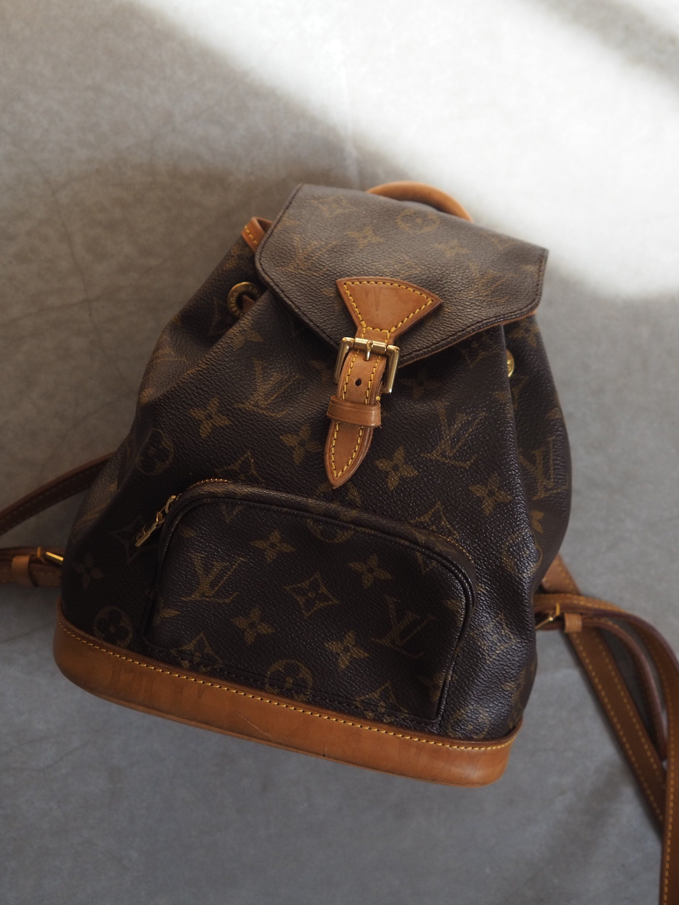 LOUIS VUITTON Monogram Mini Montsouris PM Backpack Authentic