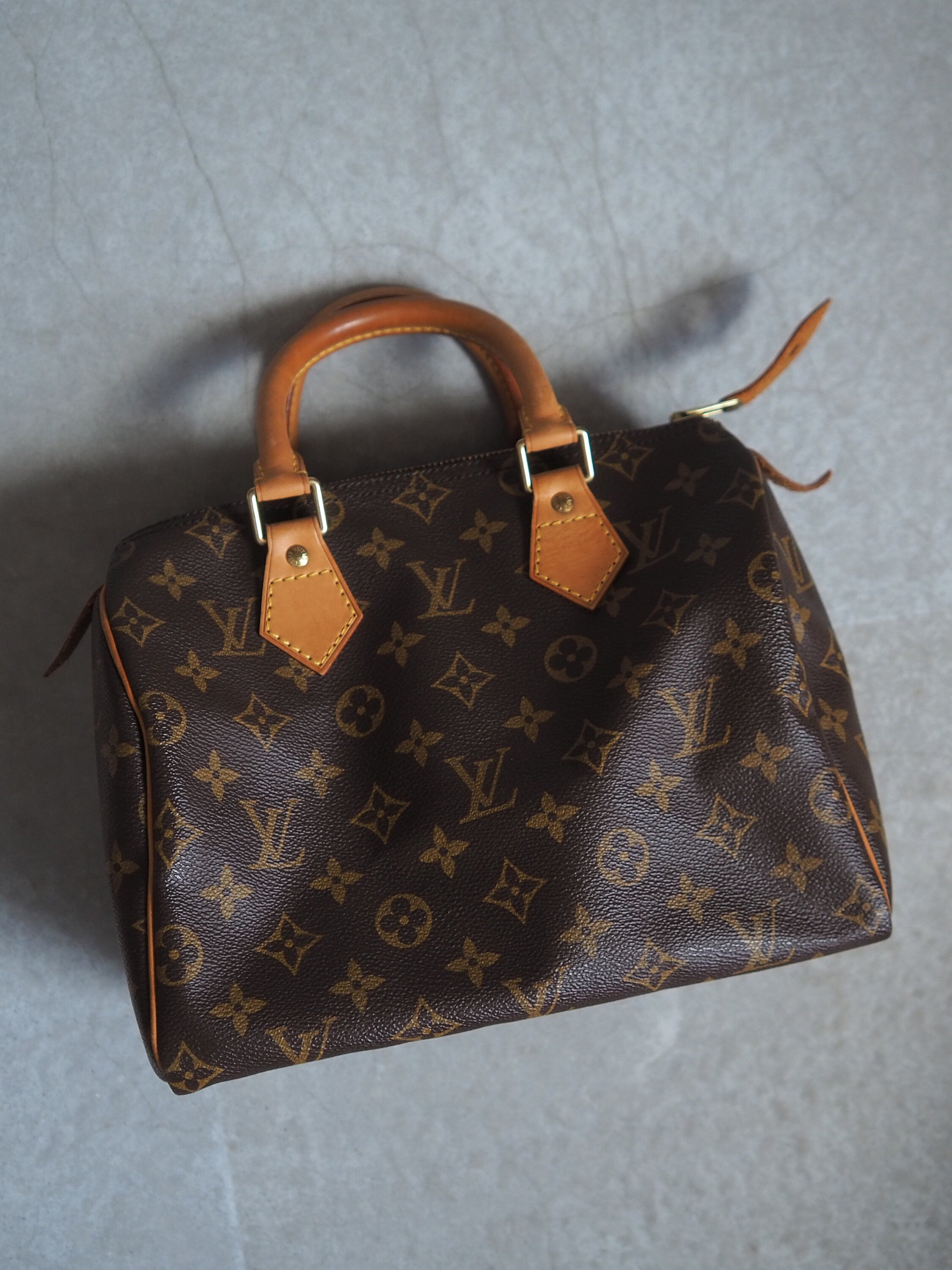 LOUIS VUITTON Monogram Speedy 25 Boston Bag