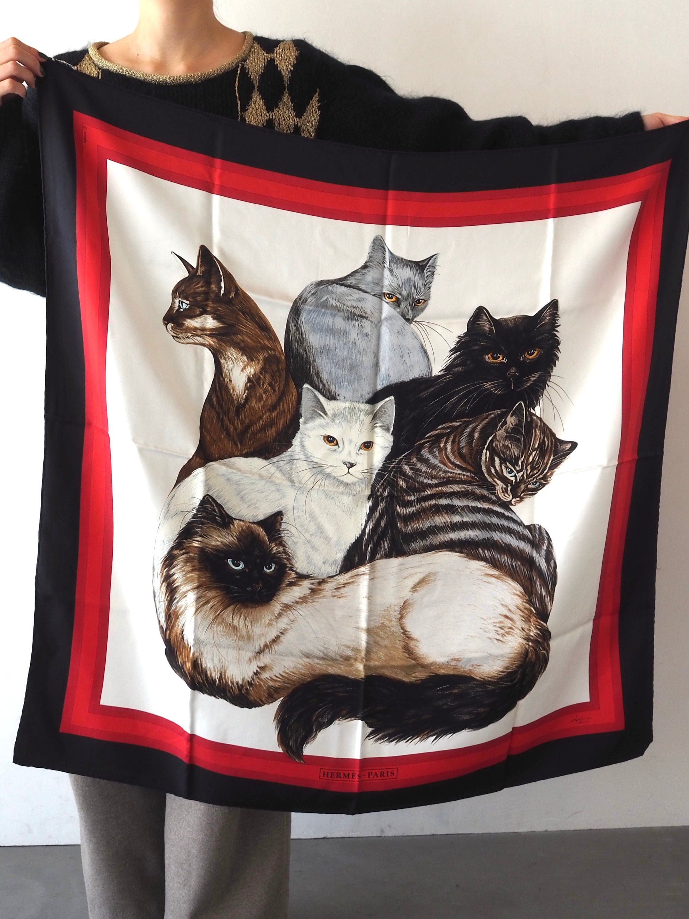 HERMES " Les Chats " Cat Scarf Carre 90 Black Red White Vintage Authentic RARE
