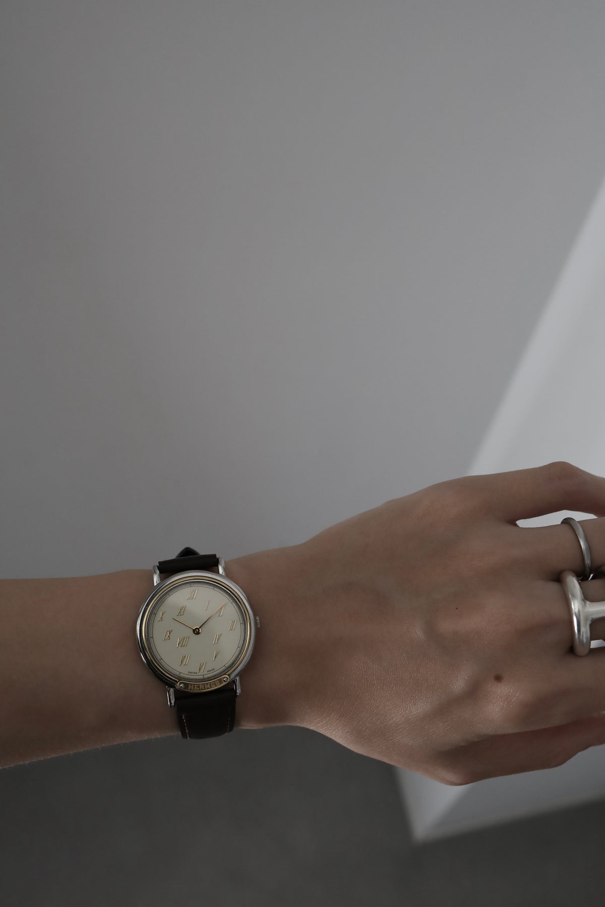 HERMÈS Meteor Watch