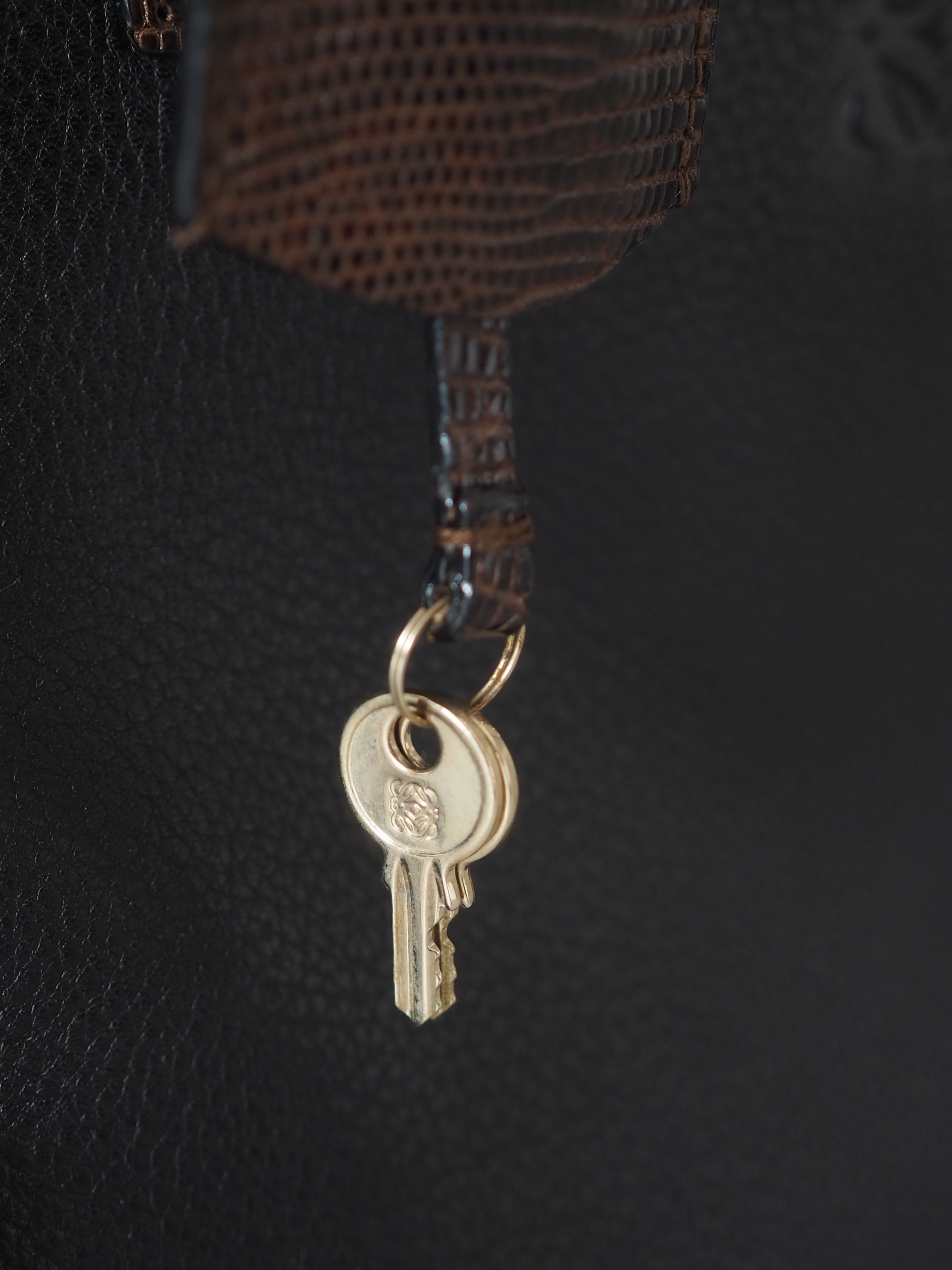 LOEWE Amazona 36 Hand Bag