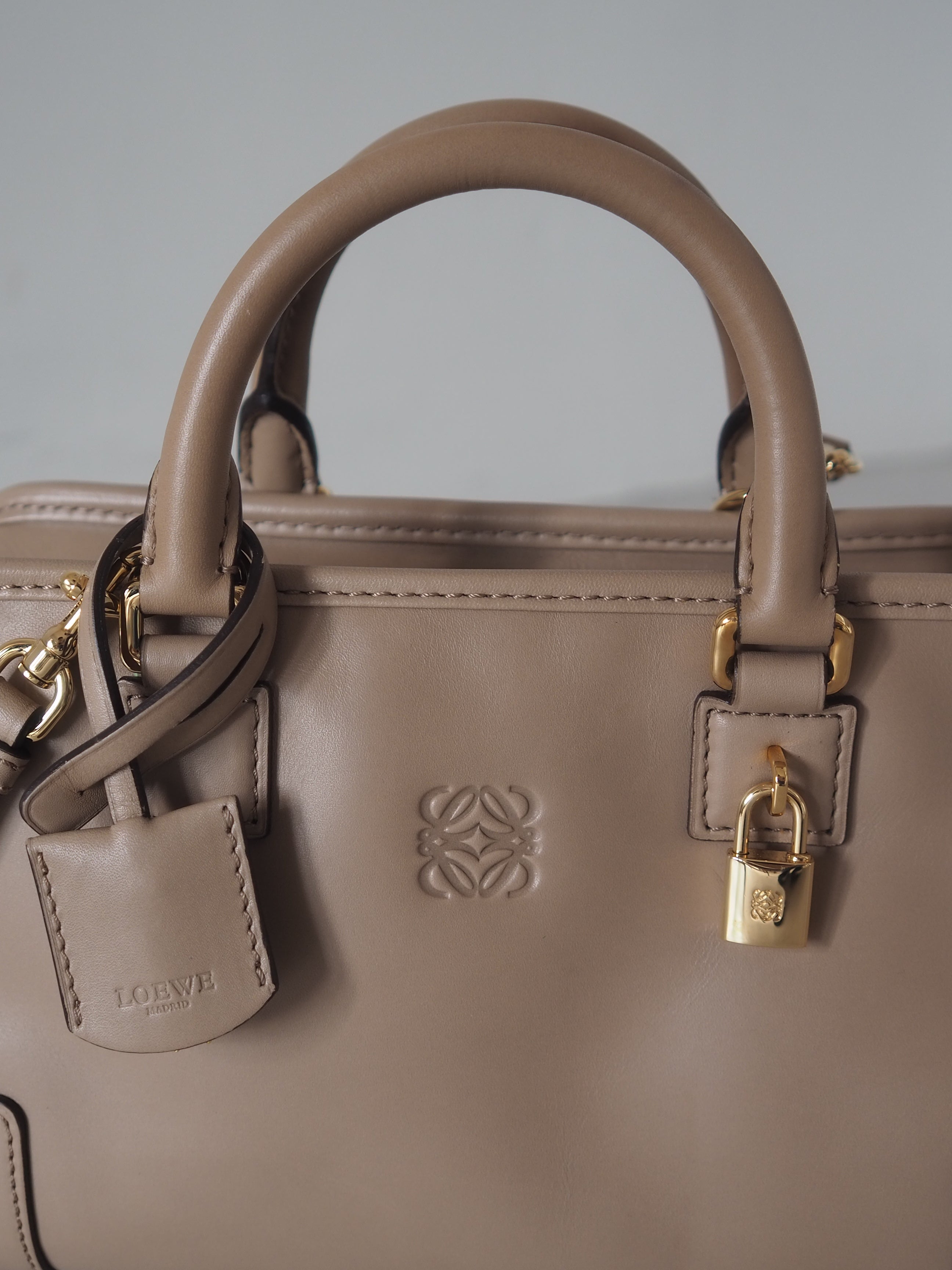 LOEWE Amazona 23 2way Hand Bag