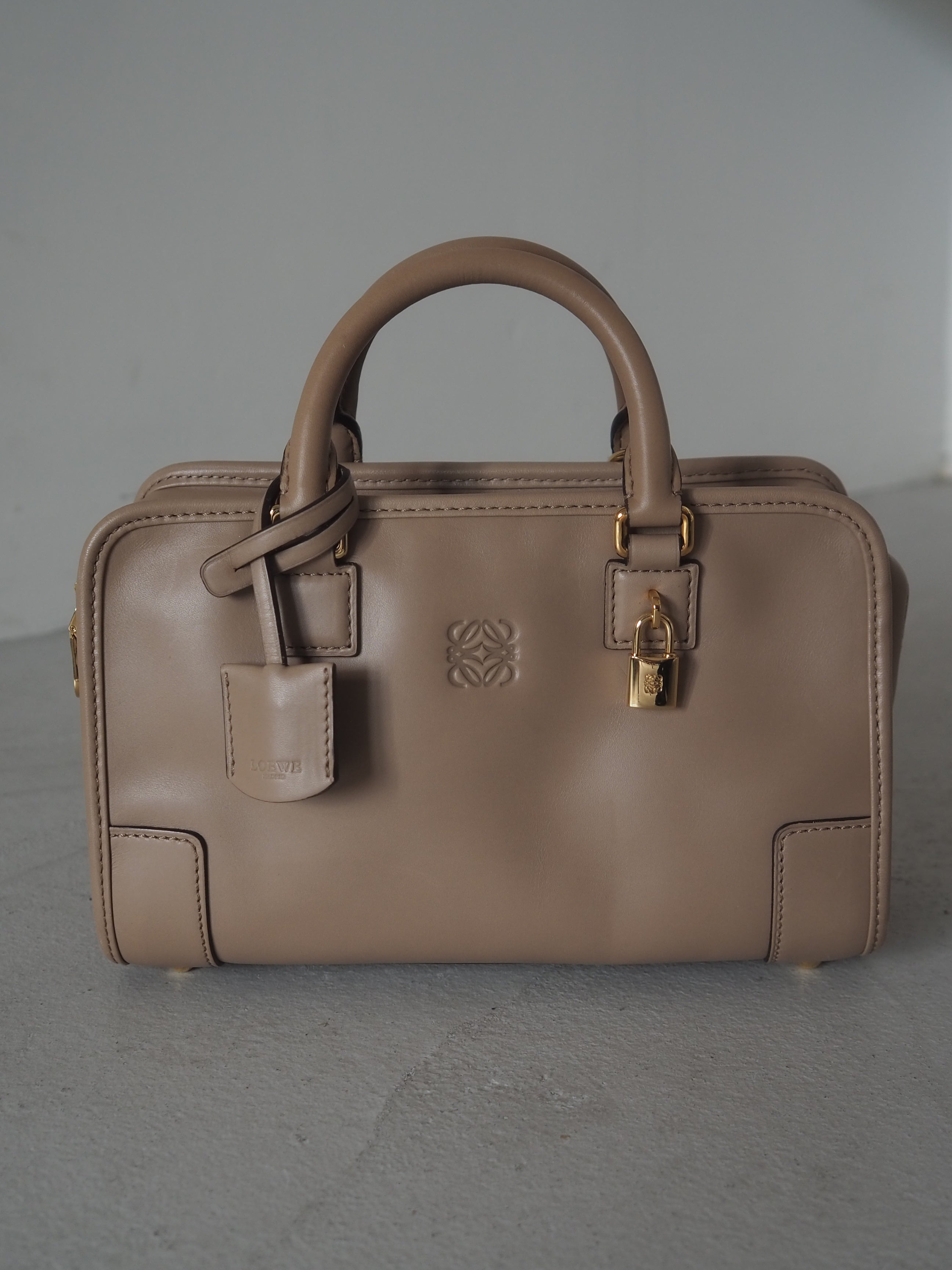 LOEWE Amazona 23 2way Hand Bag