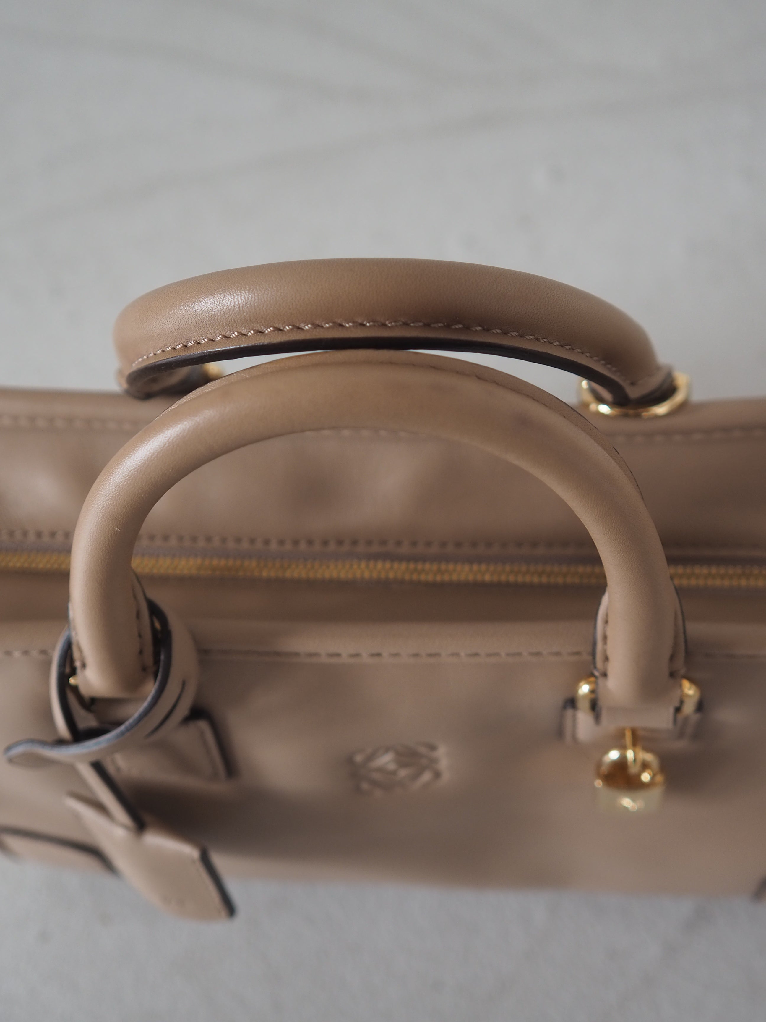 LOEWE Amazona 23 2way Hand Bag