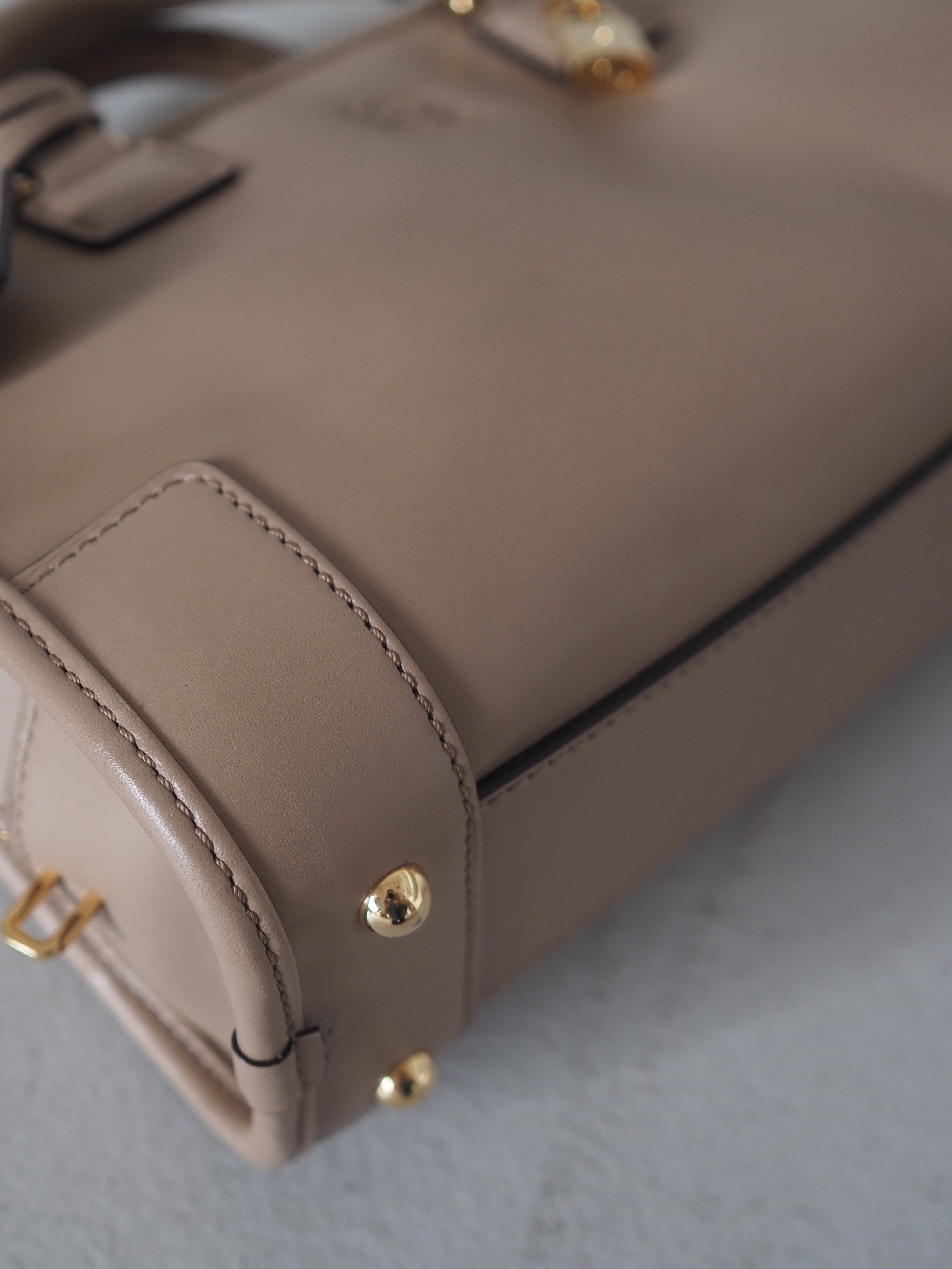 LOEWE Amazona 23 2way Hand Bag