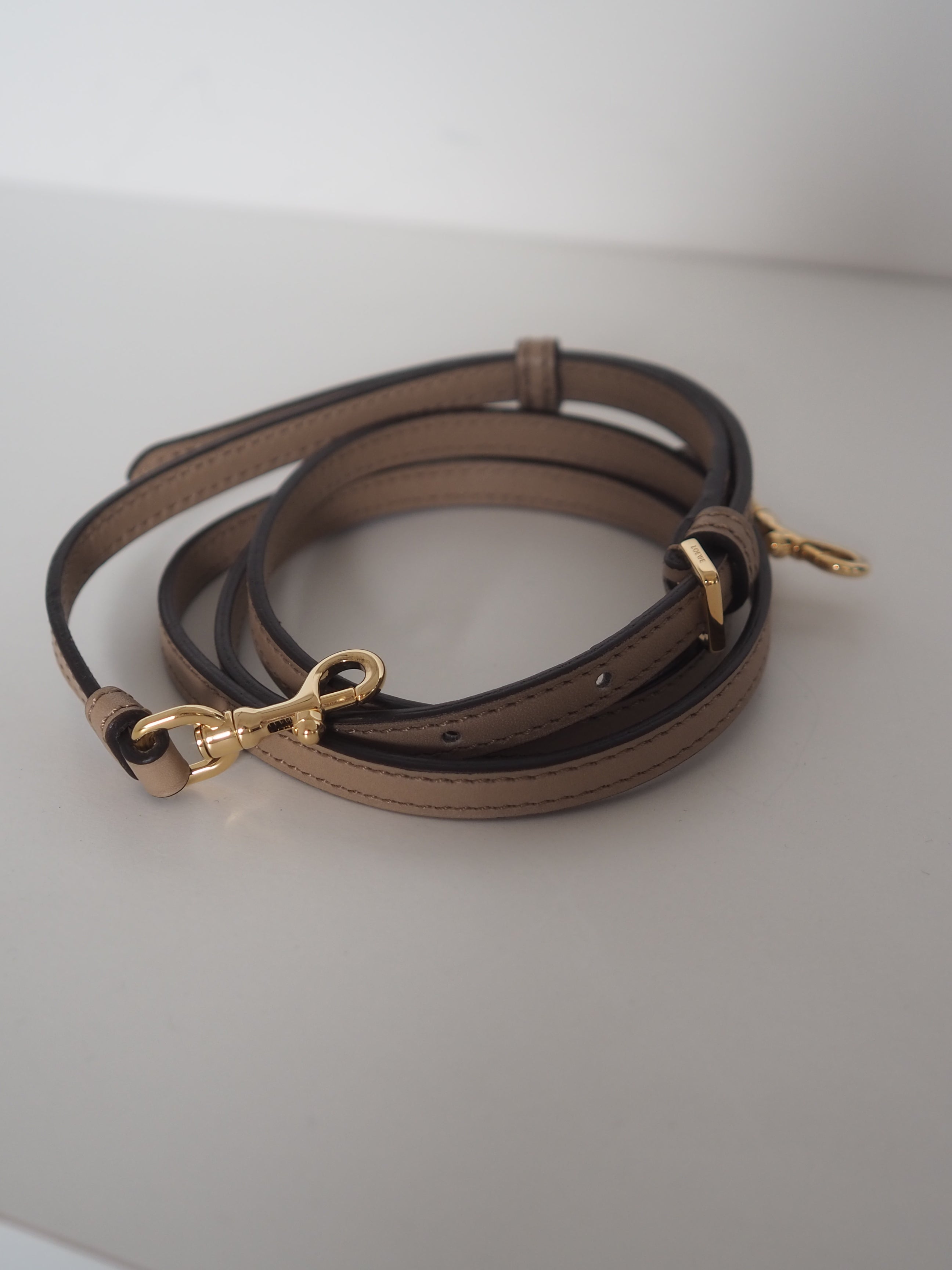 LOEWE Amazona 23 2way Hand Bag