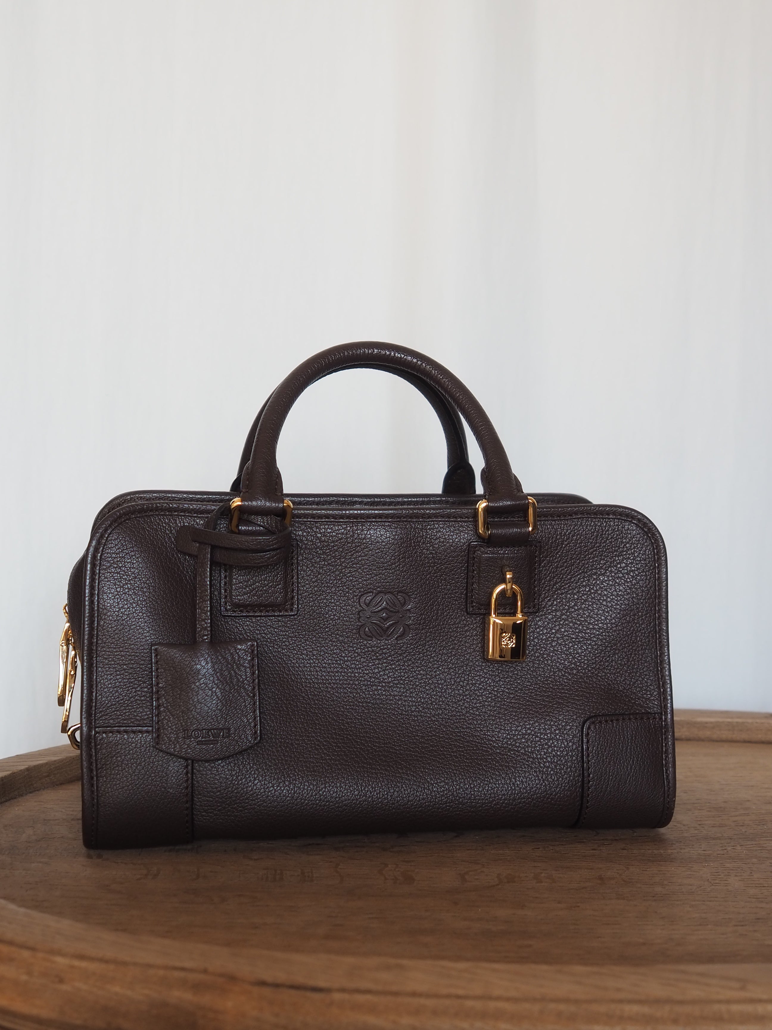 LOEWE Amazona 28 Hand Bag